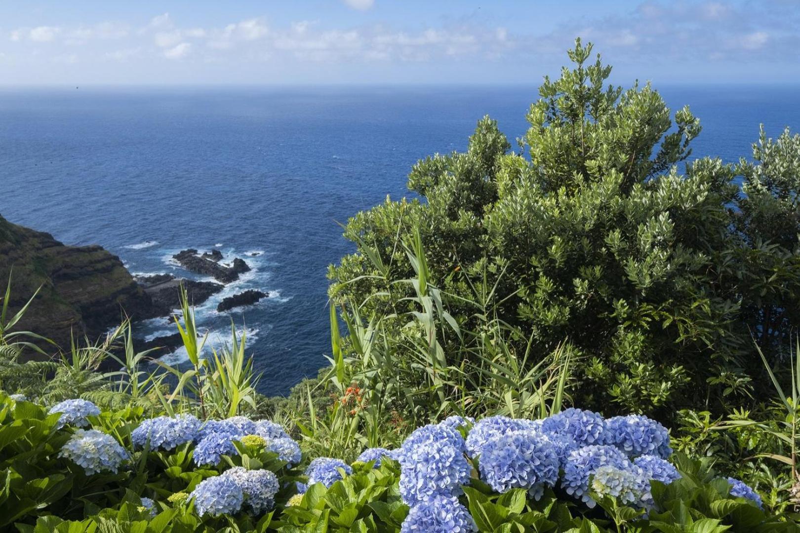 Welcomebuddy - Casa Do Moinho Garden & Sea Retreat Ponta Delgada  Exterior photo